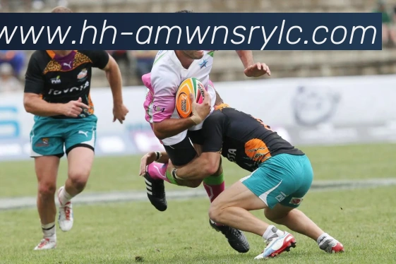 威尼斯人官网服务体系